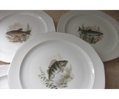 Antik porcelán halas mintás lapos tányér 6 db eladó.Készlet.