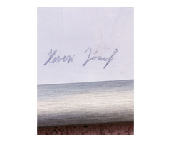 Amazon lasszóval Hevesi József grafikája, plexivel védett ezüst színű fakeretben