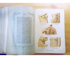Das goldene frauenbuch. Hölgy házvezetőnőknek. Német nyelvű. XIX. századi Orvosi kézikönyv nőknek.