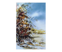 Széltépte nyárfa, keretezett akvarell festmény. Bíró Ernő kortárs festő alkotása
