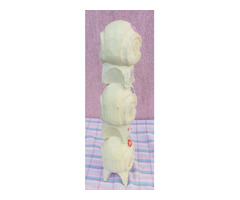 Koponyás totemoszlop festett, faragott szobor, Egyedi ritkaság