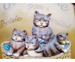 Domborműves üdvözlő reklámtábla cicákkal, keretezve.