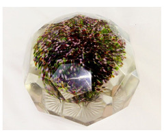 Régi kézi csiszolású nagy méretű íróasztali levélnehezék, levendula bokorral. 19. század vége