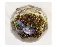 Régi kézi csiszolású nagy méretű íróasztali levélnehezék, levendula bokorral. 19. század vége