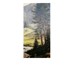 Alpesi táj rohanó patakkal, Vitange olaj-vászon festmény, ismeretlen művésztől