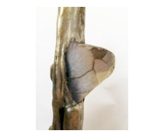 Retro sziklamászó sport relikvia, ezüstözött bronzból. Németországból