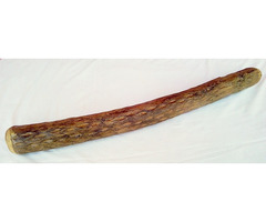 Egzotikus népi hangszer. Faág formájú kétkezes eső csináló csörgő