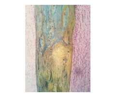 Egzotikus népi hangszer. Faág formájú kétkezes eső csináló csörgő