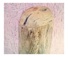 Egzotikus népi hangszer. Faág formájú kétkezes eső csináló csörgő