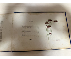 Krúdy Gyula: A víg ember bús meséi – 1900 – első kiadás – ritka szecessziós kötet
